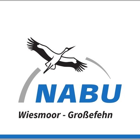Nabu Logo (1920x1080).jpg