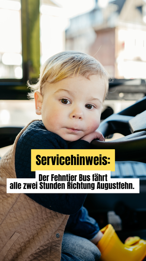 Fehntjer Bus - Instagram Story(2)