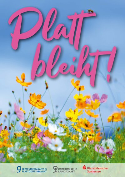 Final Plakat Platt bleiht