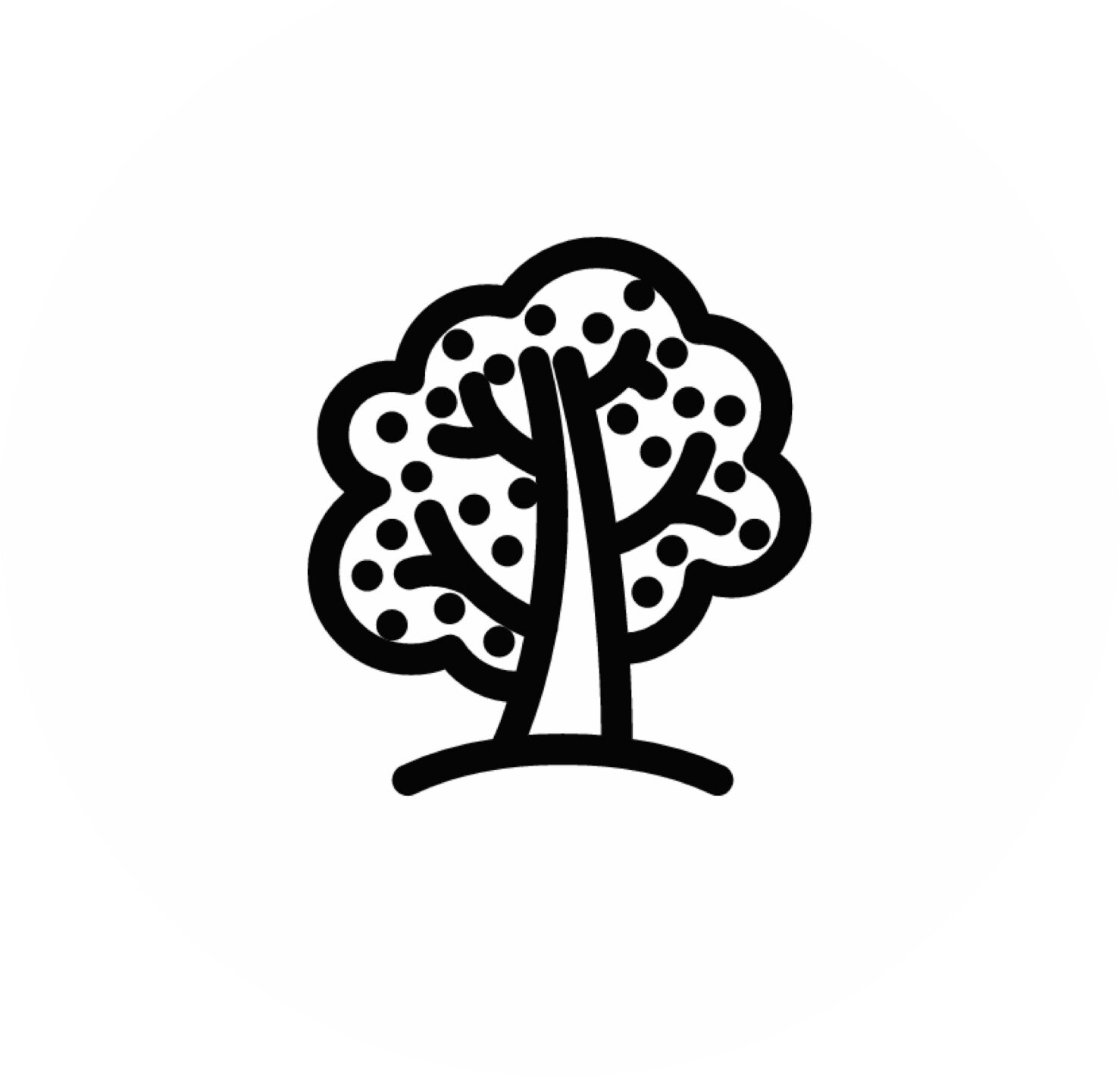 Teaser Baum