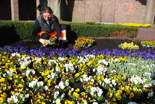 Christa pflanzt Blumen