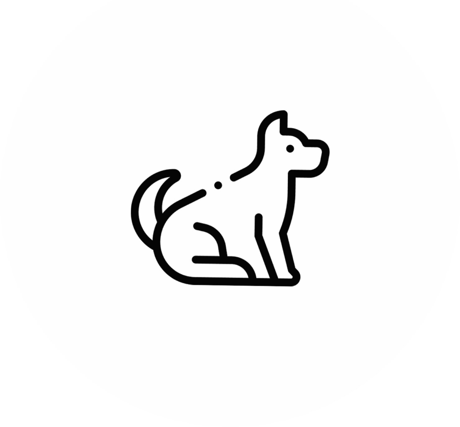 Teaser Hund